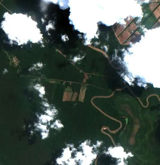 Después —  (Sentinel-2, 2026-10-08)