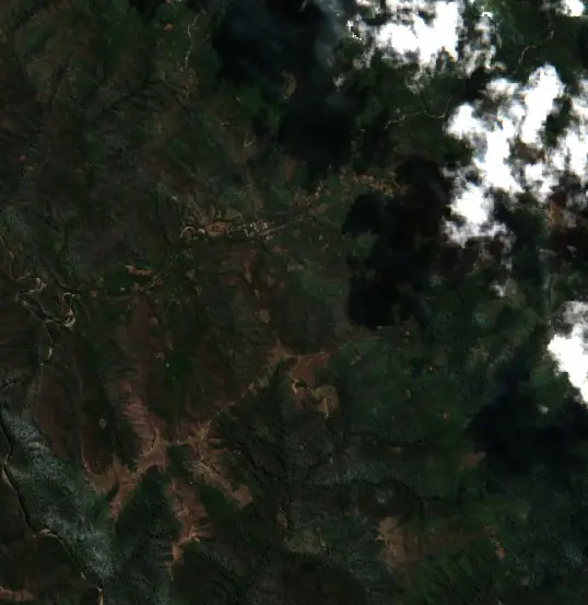 Antes — Municipio Apolo (Sentinel-2, 2026-08-08)