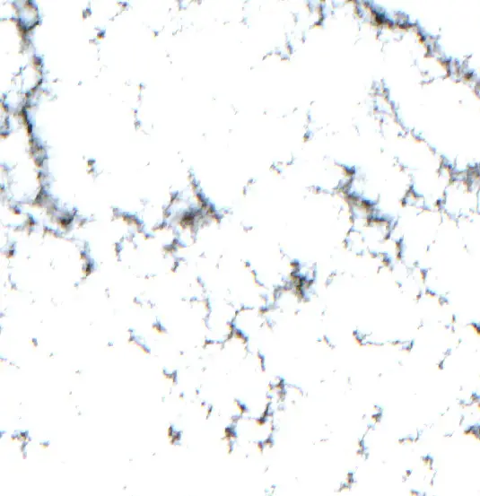 Después — Municipio San Ignacio de Velasco (Sentinel-2, 2026-09-23)