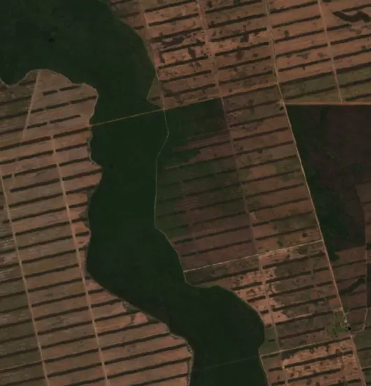 After —  (Sentinel-2, 2026-09-03)