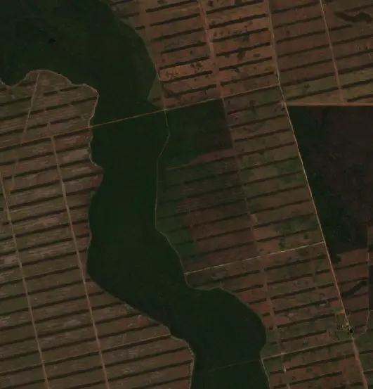 Before —  (Sentinel-2, 2026-08-26)
