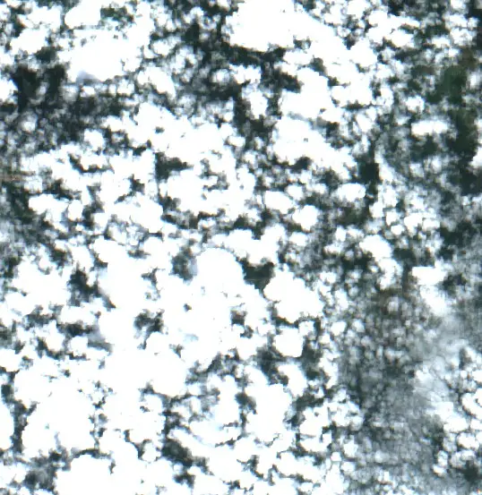 After —  (Sentinel-2, 2026-09-01)