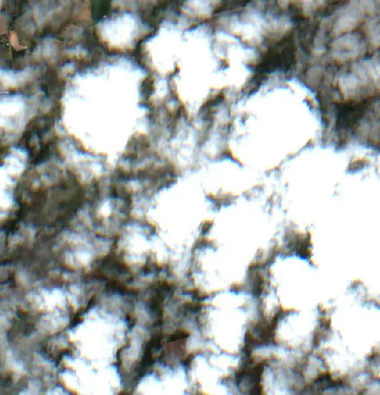 After —  (Sentinel-2, 2026-09-08)