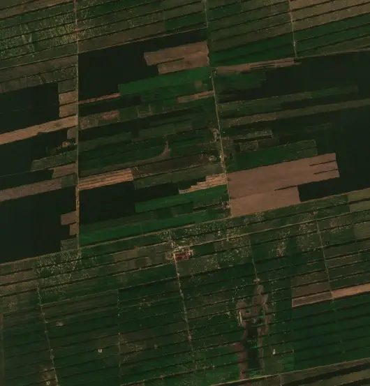 Antes — Municipio Pailón (Sentinel-2, 2026-09-03)