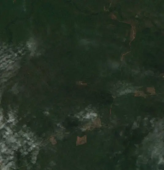 After —  (Sentinel-2, 2026-09-23)