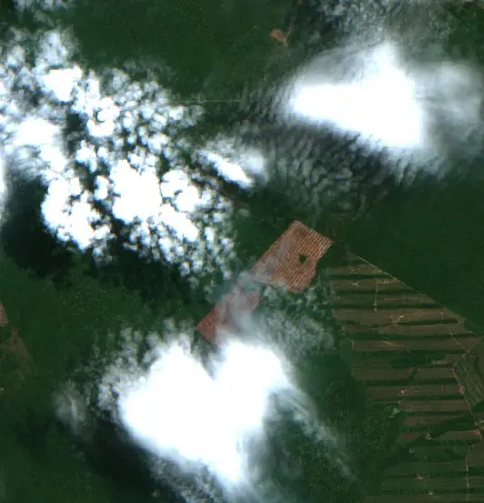 Después —  (Sentinel-2, 2026-10-20)