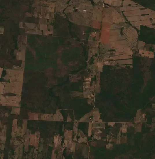 After — Municipio Concepción (Sentinel-2, 2026-10-08)