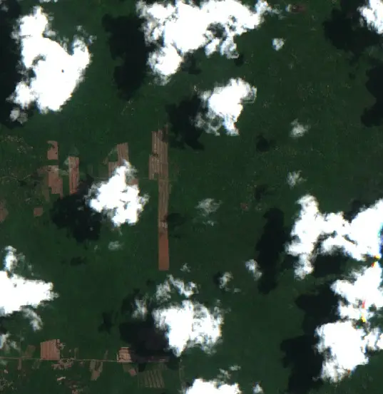 After —  (Sentinel-2, 2026-10-05)