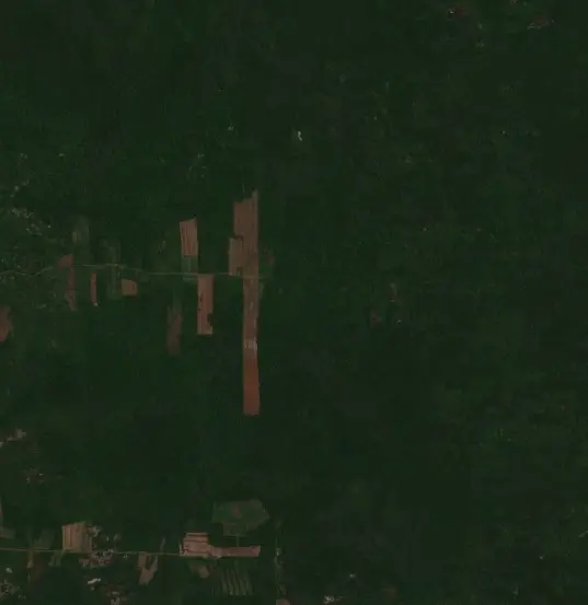 Before —  (Sentinel-2, 2026-09-25)