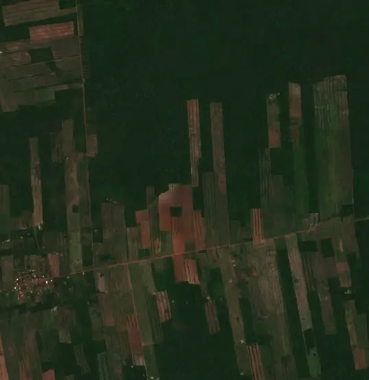 Después —  (Sentinel-2, 2026-10-08)