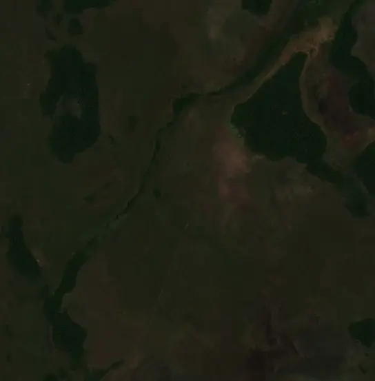 Before — Municipio Puerto Siles (Sentinel-2, 2026-08-12)