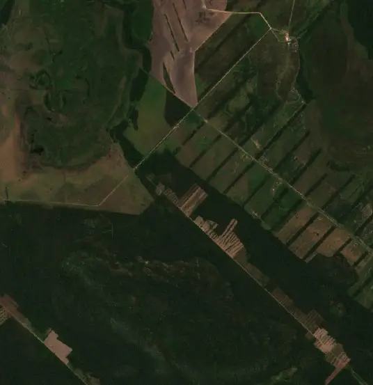Después — Municipio Ascención de Guarayos (Sentinel-2, 2026-09-16)