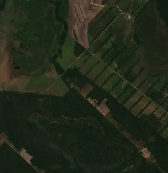 Antes — Municipio Ascención de Guarayos (Sentinel-2, 2026-09-08)