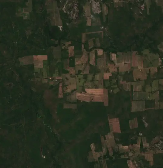 Antes —  (Sentinel-2, 2026-10-08)