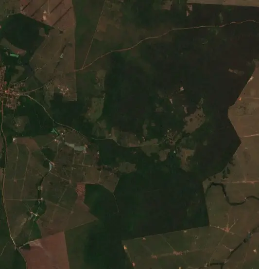 Después — Municipio San Ignacio de Velasco (Sentinel-2, 2026-10-08)