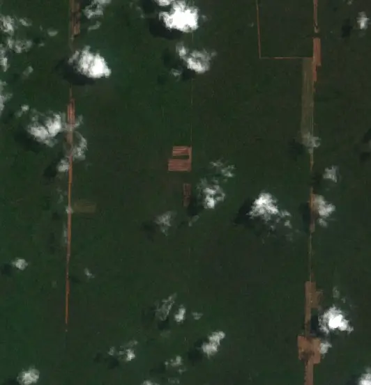 Después — Municipio San Rafael (Sentinel-2, 2026-10-12)