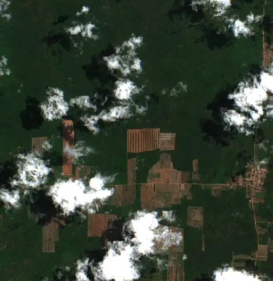 After — Municipio Concepción (Sentinel-2, 2026-10-03)