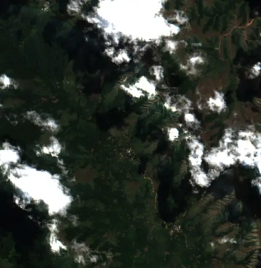 Antes — Municipio Apolo (Sentinel-2, 2026-08-08)