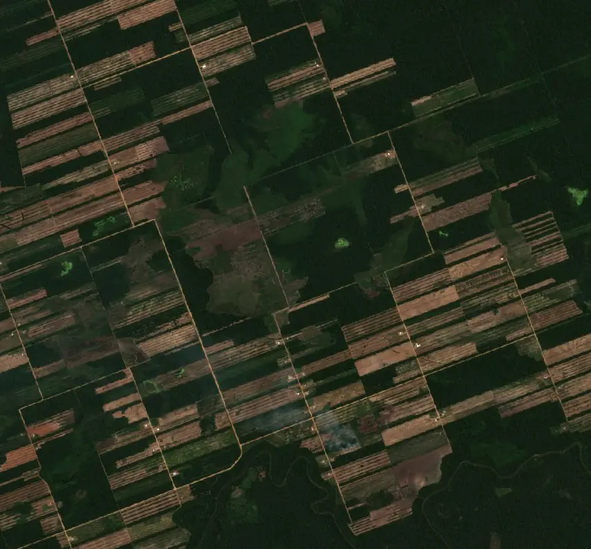 After —  (Sentinel-2, 2026-09-16)