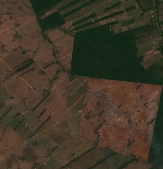 Después — Municipio San Rafael (Sentinel-2, 2026-10-08)