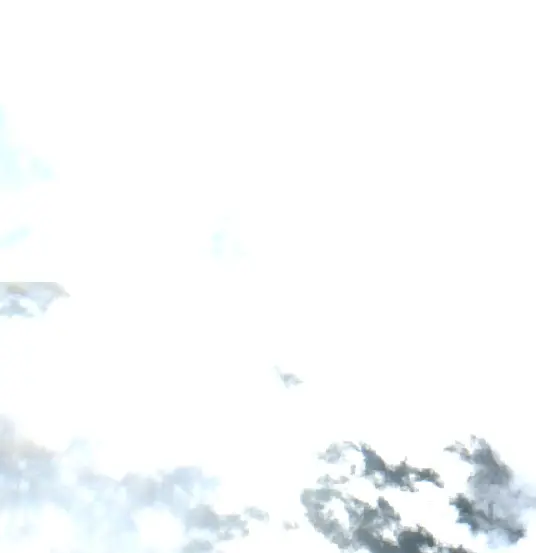 After —  (Sentinel-2, 2026-09-01)