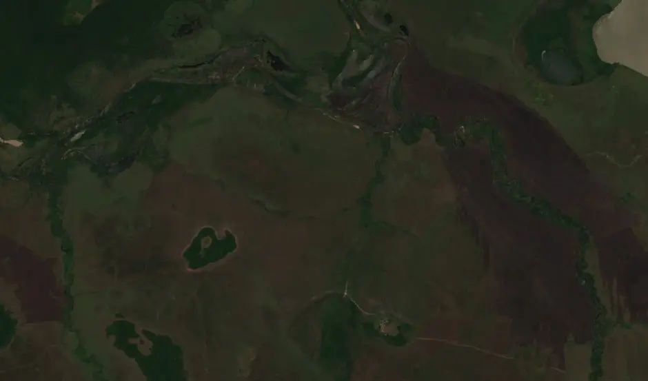 After — Municipio Magdalena (Sentinel-2, 2026-10-08)