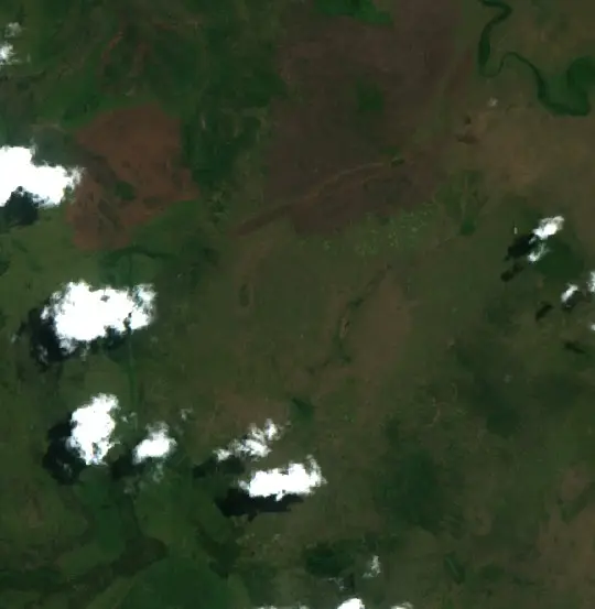 After — Municipio San Ramón (Sentinel-2, 2026-10-08)