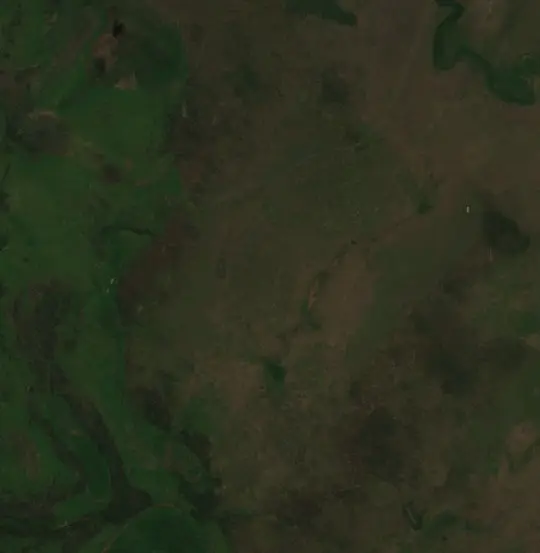 Before — Municipio San Ramón (Sentinel-2, 2026-08-29)