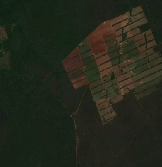 Antes —  (Sentinel-2, 2026-10-08)