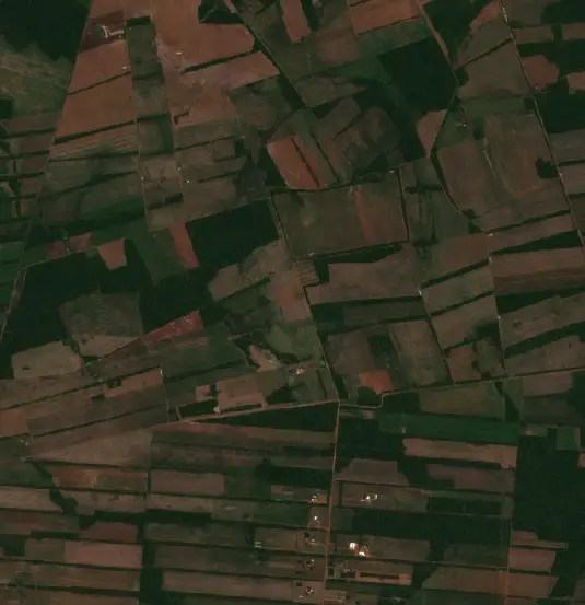 Antes — Municipio San Ignacio de Velasco (Sentinel-2, 2026-10-08)