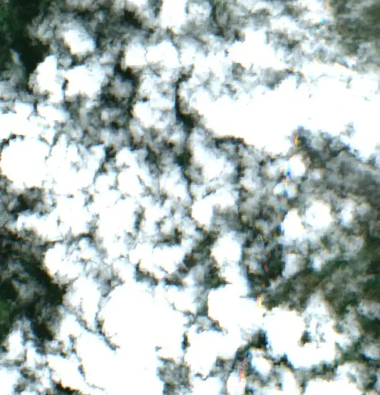 After — Municipio Concepción (Sentinel-2, 2026-10-18)