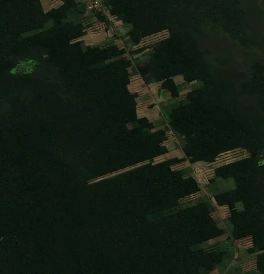 Antes —  (Sentinel-2, 2026-08-12)