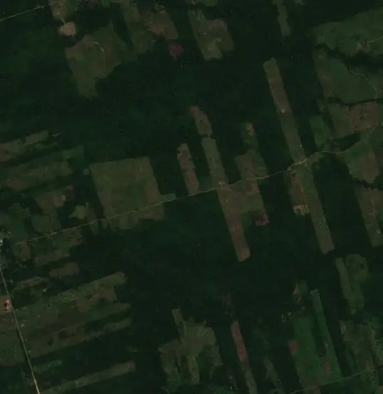 Before —  (Sentinel-2, 2026-09-04)