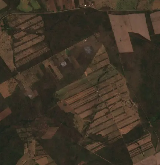 After — Municipio Concepción (Sentinel-2, 2026-09-25)