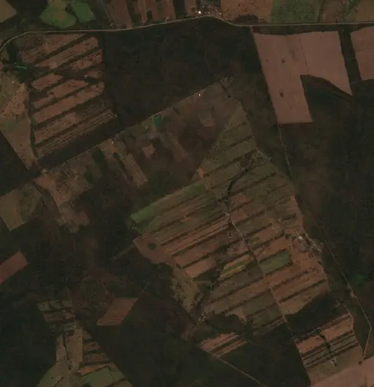 Before — Municipio Concepción (Sentinel-2, 2026-08-26)