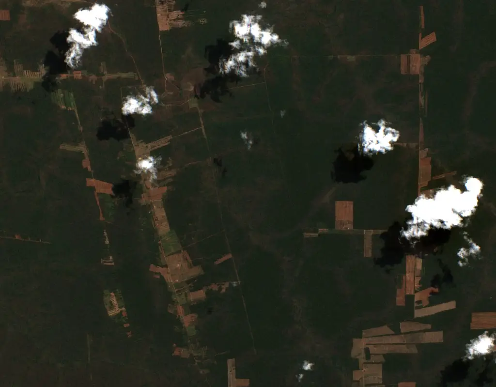 Antes — Municipio San Rafael (Sentinel-2, 2026-09-20)