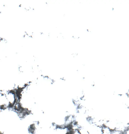 Después — Municipio San Ignacio de Velasco (Sentinel-2, 2026-09-23)