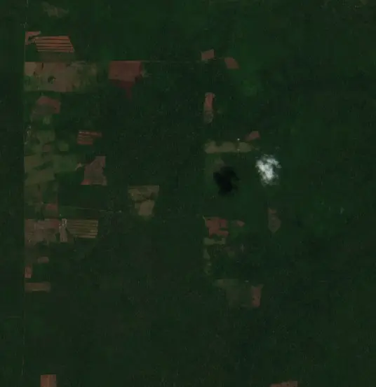 Después — Municipio San Ignacio de Velasco (Sentinel-2, 2026-10-08)