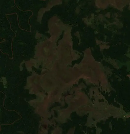Before — San Ignacio de Moxos (Sentinel-2, 2026-08-22)