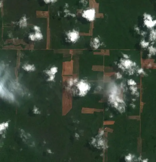 Después — Municipio San Rafael (Sentinel-2, 2026-10-12)