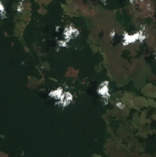Después — Guayaramerín (Sentinel-2, 2026-10-19)