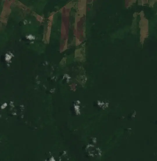 Después — Municipio Concepción (Sentinel-2, 2026-10-18)