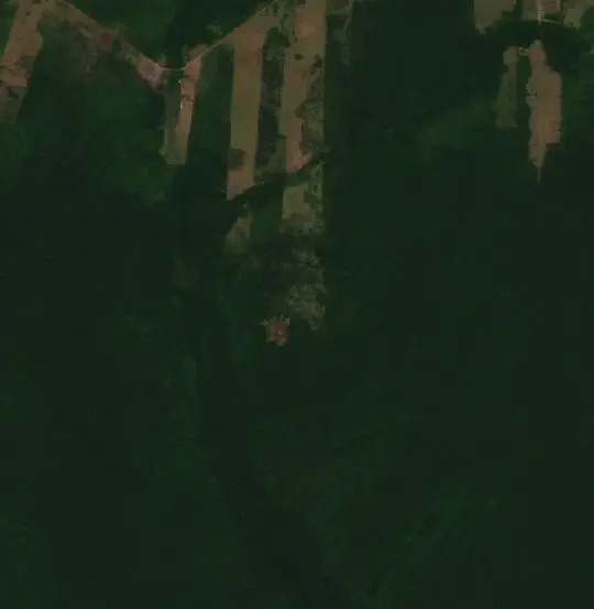 Antes — Municipio Concepción (Sentinel-2, 2026-10-08)