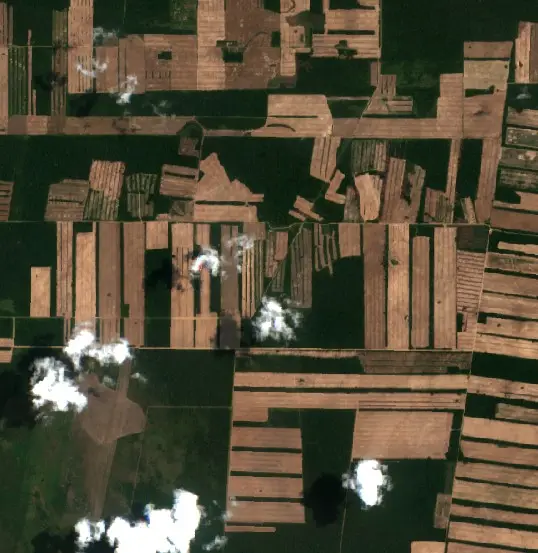 After — Municipio San Andres (Sentinel-2, 2026-10-08)
