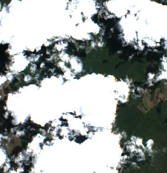 After — Municipio Concepción (Sentinel-2, 2026-10-03)