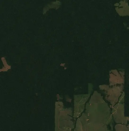 Después — Municipio Bella Flor (Sentinel-2, 2026-09-22)