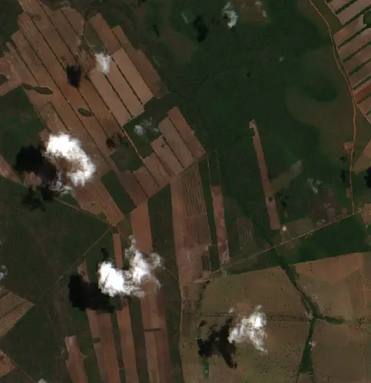 Después — Municipio Concepción (Sentinel-2, 2026-10-03)