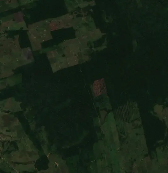 Antes — San Borja (Sentinel-2, 2026-09-04)