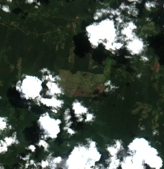After — Municipio Palos Blancos (Sentinel-2, 2026-09-21)