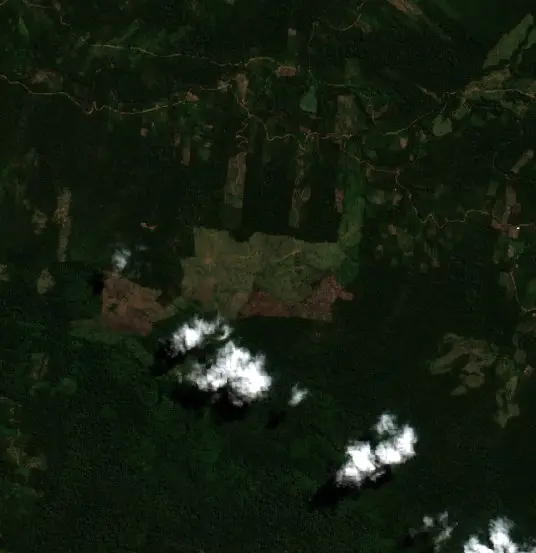 Before — Municipio Palos Blancos (Sentinel-2, 2026-09-04)